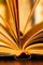 Cover Lectures 2021 (liste évolutive)