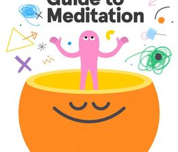 image-https://media.senscritique.com/media/000019783708/0/le_guide_headspace_de_la_meditation.jpg