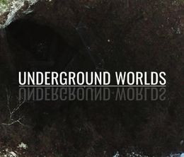 image-https://media.senscritique.com/media/000019783919/0/underground_worlds.jpg