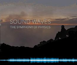 image-https://media.senscritique.com/media/000019785382/0/sound_waves_the_symphony_of_physics.jpg