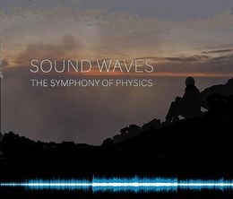 image-https://media.senscritique.com/media/000019785383/0/sound_waves_the_symphony_of_physics.jpg