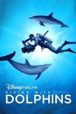 Plongée dans le monde des dauphins