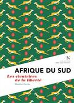 Afrique du Sud : les cicatrices de la liberté