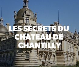 image-https://media.senscritique.com/media/000019797749/0/les_secrets_du_chateau_de_chantilly.jpg