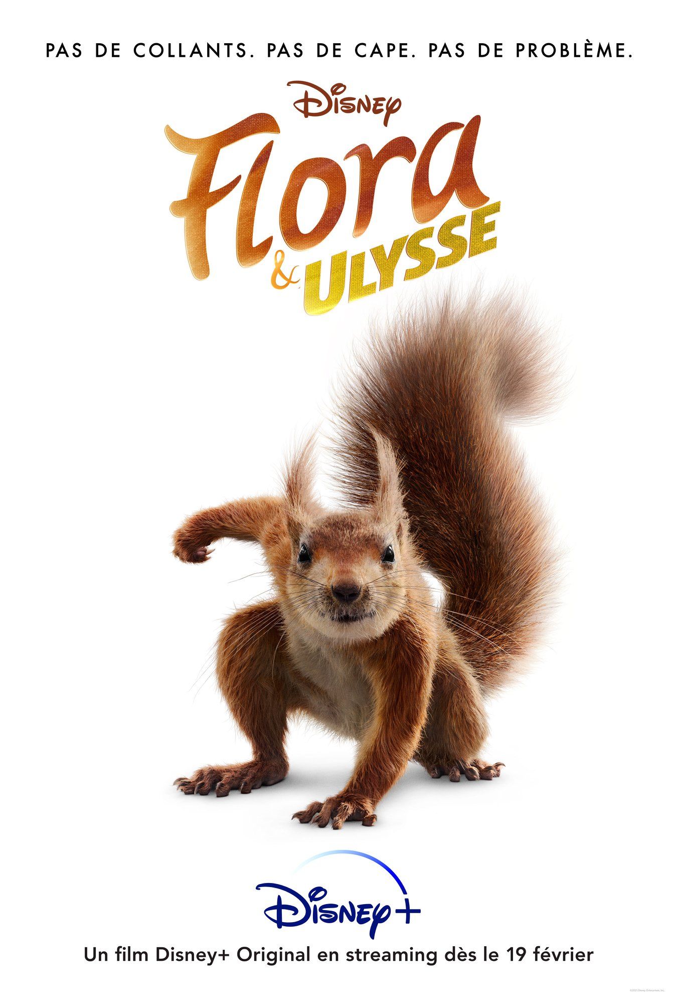 flora and ulysses movie cast