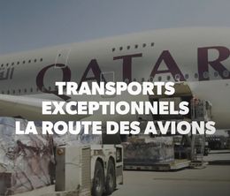 image-https://media.senscritique.com/media/000019804580/0/transports_exceptionnels_la_route_des_avions.jpg