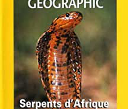 image-https://media.senscritique.com/media/000019805542/0/serpents_d_afrique_mortelles_rencontres.png