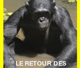 image-https://media.senscritique.com/media/000019805634/0/le_retour_des_bonobos.jpg