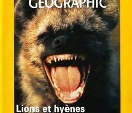 image-https://media.senscritique.com/media/000019806767/0/lions_et_hyenes_face_a_face_mortel.jpg