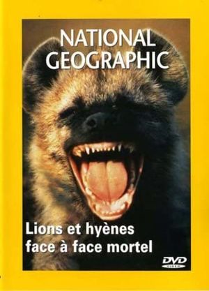 Lions et hyènes, face à face mortel