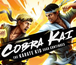 image-https://media.senscritique.com/media/000019811315/0/Cobra_Kai_The_Karate_Kid_Saga_Continues.jpg