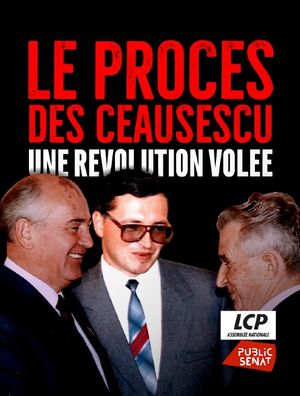 Le Procès des Ceausescu : Une révolution volée