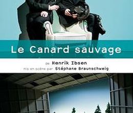 image-https://media.senscritique.com/media/000019815831/0/le_canard_sauvage.jpg