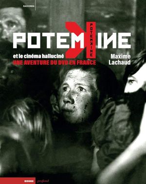 Potemkine et le cinéma halluciné - Une aventure du DVD en France