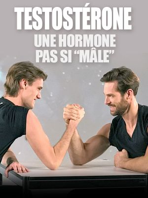 Testostérone : une hormone pas si "mâle"