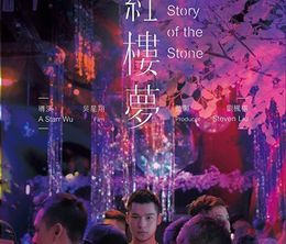 image-https://media.senscritique.com/media/000019819759/0/the_story_of_the_stone.jpg