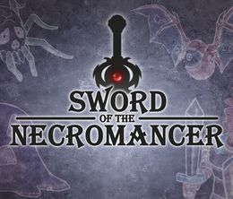 image-https://media.senscritique.com/media/000019820035/0/sword_of_the_necromancer.jpg