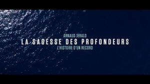 Arnaud Jerald - La sagesse des profondeurs