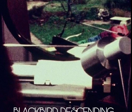 image-https://media.senscritique.com/media/000019822517/0/blackbird_descending.png