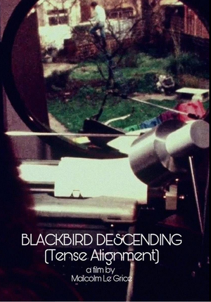 Blackbird Descending