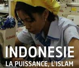 image-https://media.senscritique.com/media/000019824891/0/indonesie_la_puissance_l_islam_et_la_democratie.jpg