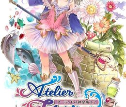 image-https://media.senscritique.com/media/000019825513/0/atelier_totori_the_adventurer_of_arland_dx.jpg