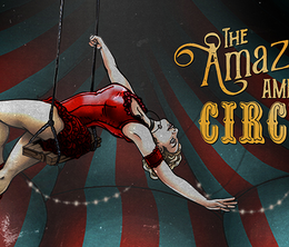 image-https://media.senscritique.com/media/000019827271/0/The_Amazing_American_Circus.png