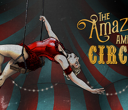 image-https://media.senscritique.com/media/000019827271/0/the_amazing_american_circus.png