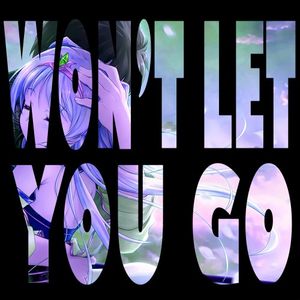 Won't Let You Go (DJ edit)