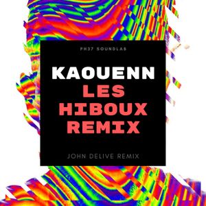 Les Hiboux Remix (John Delive remix)