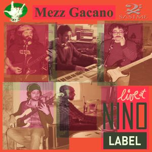 Live at NINO label