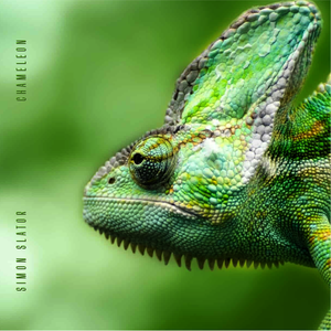 Chameleon