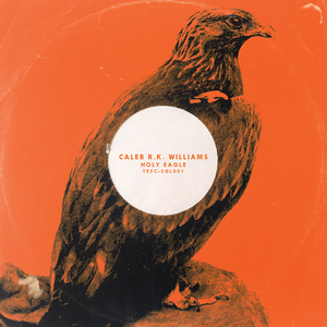 Holy Eagle (Single)