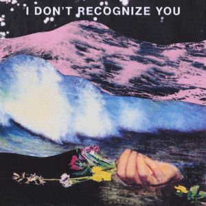I Don't Recognise You (Single)
