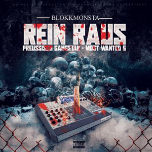 Rein / Raus (Single)