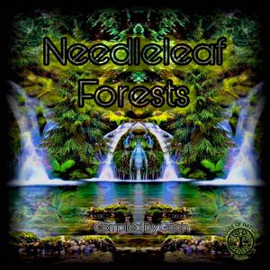 Needleleaf Forests