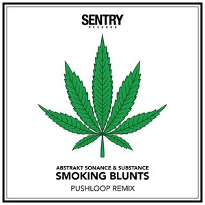 Smoking Blunts (Pushloop Remix)