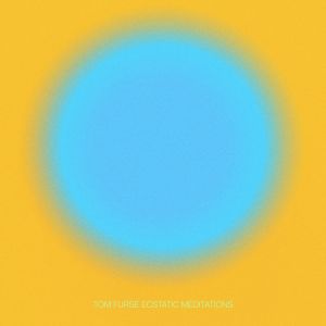 Ecstatic Meditations