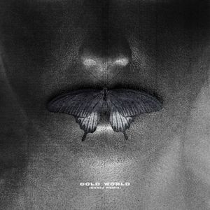 Cold World (Mooij remix)