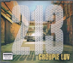 Groupie Luv (Single)