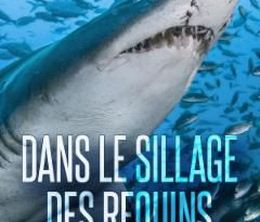 image-https://media.senscritique.com/media/000019846213/0/dans_le_sillage_des_requins.jpg