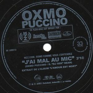 J'ai mal au mic (Single)