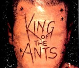 image-https://media.senscritique.com/media/000019848525/0/king_of_the_ants.jpg