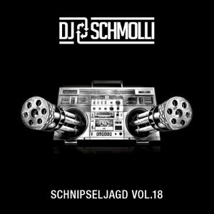 Schnipseljagd Vol.18