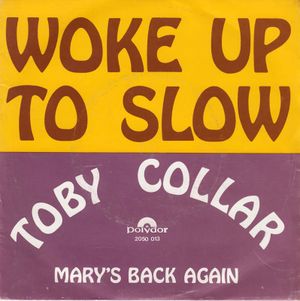 Woke Up to Slow / Mary's Back Again (Single)