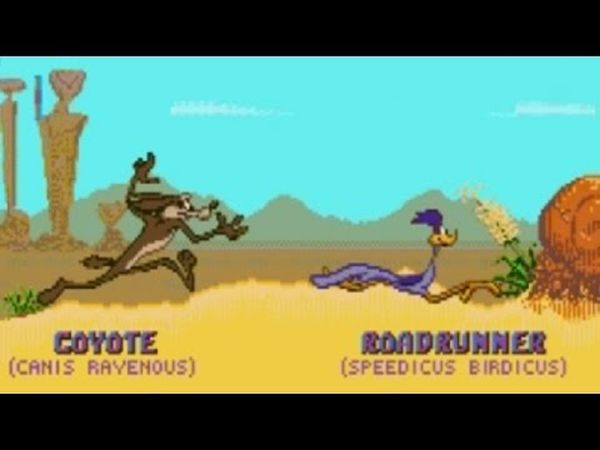 Desert Demolition Starring Road Runner and Wile E. Coyote