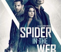 image-https://media.senscritique.com/media/000019856327/0/spider_in_the_web.jpg
