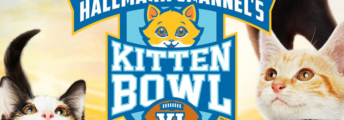 Cover Kitten Bowl