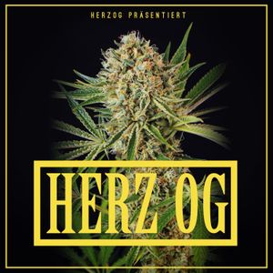 Herz OG (Single)