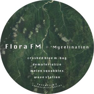 Mycelination (EP)